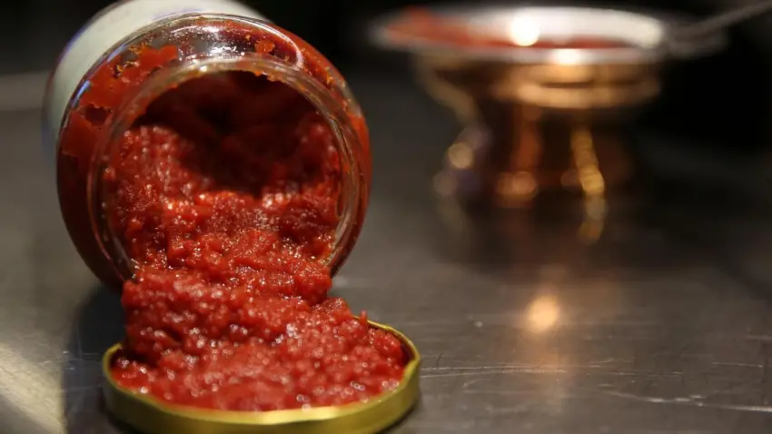 Günde 35 gram salça tüketmek beyni nasıl etkiliyor? İspanya'daki araştırma çarpıcı sonucu açıkladı haberinin görseli