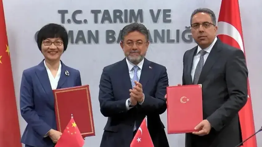 Türkiye ile Çin arasında defne ihracatı protokolü imzalandı: Yıllık 60 milyon dolarlık ticaret hedefleniyor haberinin görseli
