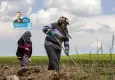 Tarlada üretim rekor kırdı, çiftçinin cebi boş kaldı