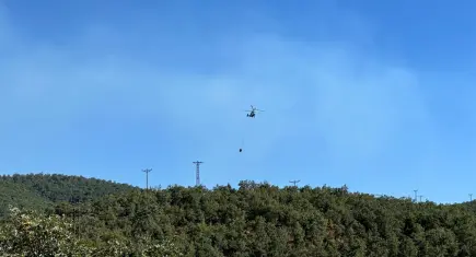 Uşak’ta orman yangını ekiplerin müdahalesiyle kontrol altına alındı