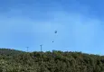 Uşak’ta orman yangını ekiplerin müdahalesiyle kontrol altına alındı