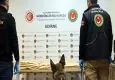 Kapıkule’de uyuşturucu operasyonu!