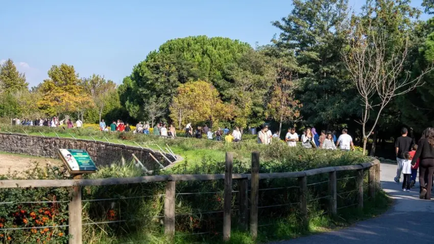 Doğal Yaşam Parkı’nda kış saati uygulamasına geçiş başlıyor haberinin görseli