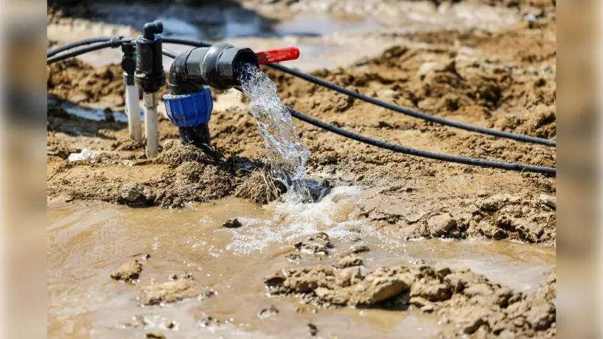 İzmir tarımında yeni dönem: Vahşi sulamaya ultrasonik önlem haberinin görseli