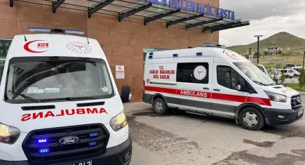 Tarım işçilerini taşıyan minibüs devrildi: 5 yaralı