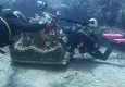 Midye kabuklarıyla gelen uluslararası başarı