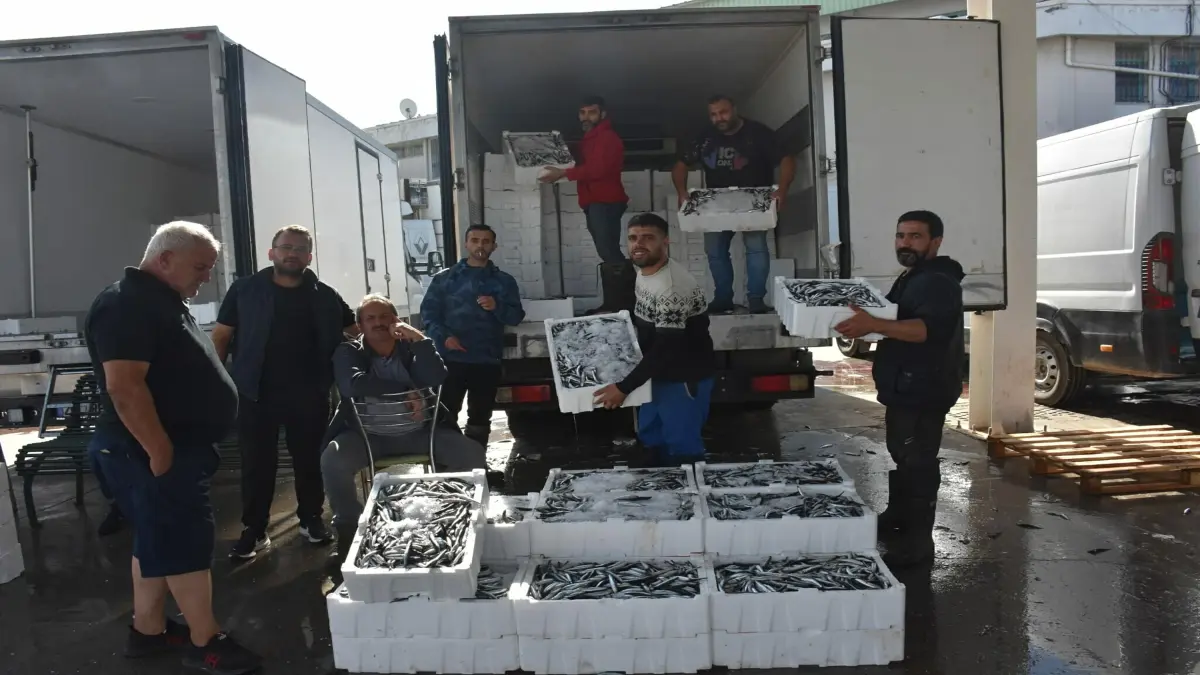 İzmir'de balık bolluğu fiyatları düşürdü görseli