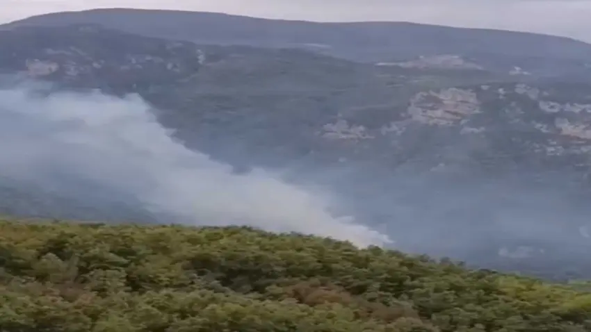 Hatay Dörtyol’da orman yangını