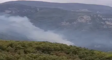 Hatay Dörtyol’da orman yangını