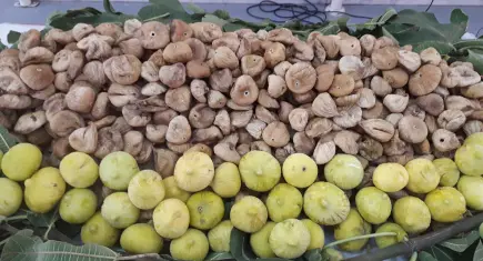 Kuru meyve ihracatçıları uluslararası iş birliklerini sıklaştırıyor
