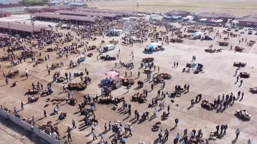 Ağrı’da şap hastalığına karşı yeni önlemler: Hayvan Borsası kapatıldı haberinin görseli