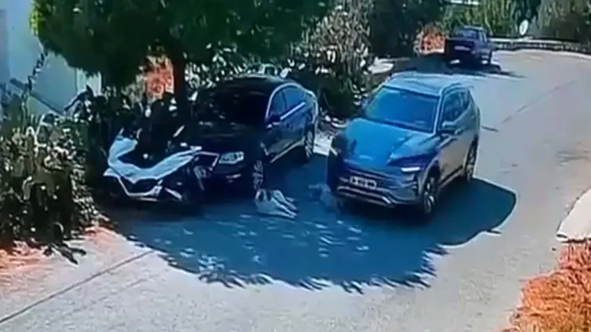 Otomobilin 2 köpeğin üzerinden geçmesine ilişkin soruşturma haberinin görseli