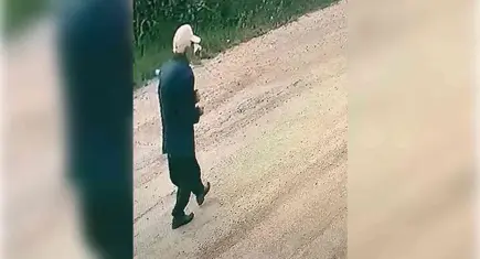 Antalya'da 15 aydır kayıp olan adamın kıyafetleri ve kimliği ormanda bulundu