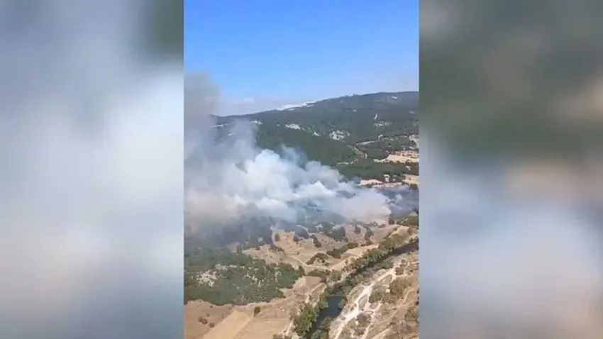 Balıkesir'de orman yangını haberinin görseli