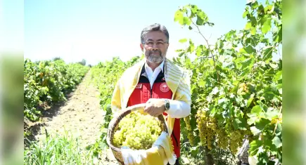 Tarım Bakanı Yumaklı: Bu yıl üzüm üretiminde önemli bir artış bekliyoruz