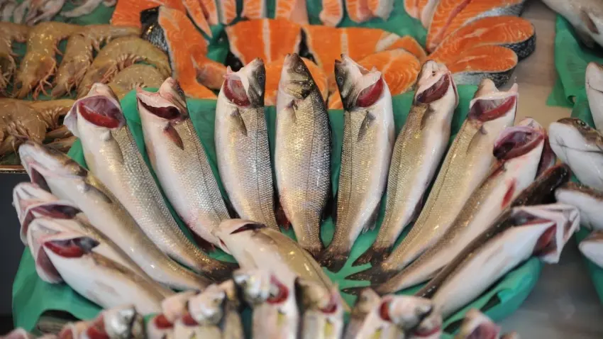 Future Fish Eurasia İzmir’de 26 ülkeyi buluşturuyor! haberinin görseli