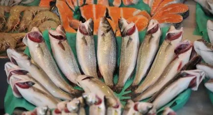 Future Fish Eurasia İzmir’de 26 ülkeyi buluşturuyor!