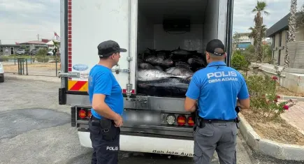 Güzelbahçe’de 3 ton mavi yüzgeçli orkinos ele geçirildi