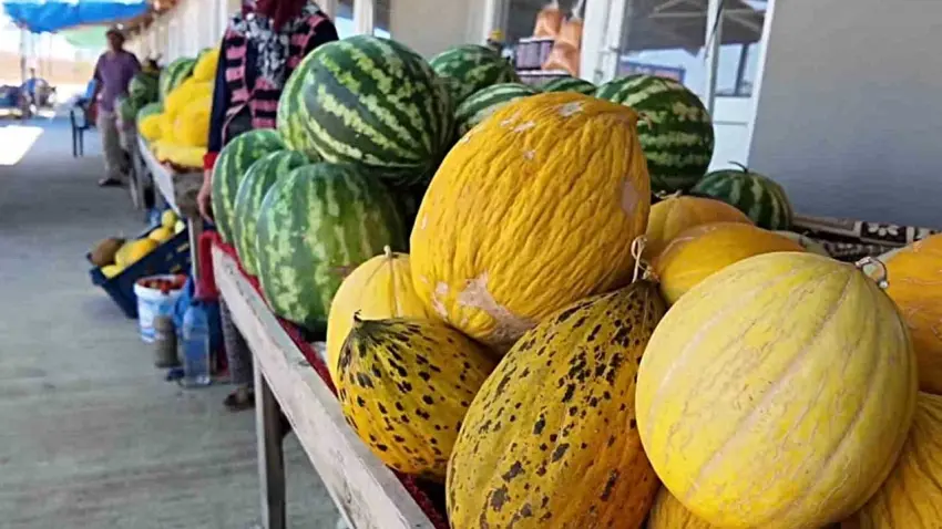 Malkaralı kadınlardan tarladan pazara imece modeli haberinin görseli