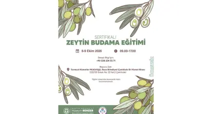 Buca Belediyesi'nden ücretsiz zeytin budama eğitimi