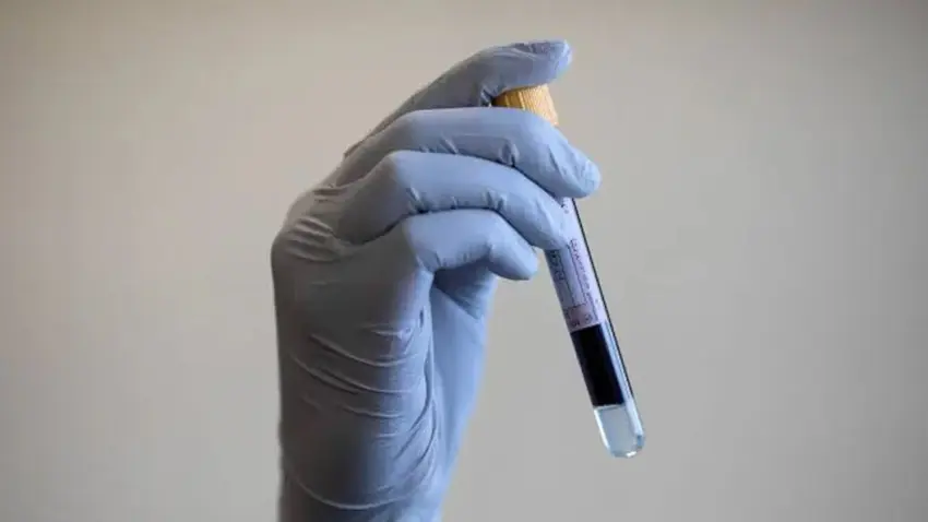 dna