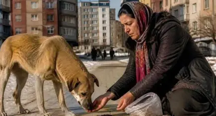 Sokakta hayvan besleme yasağına tepki
