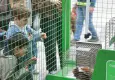 Konak’ta Patilerin Festivali 7’nci kez düzenleniyor