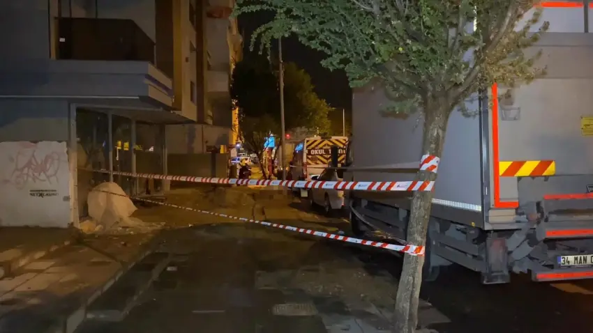 Küçükçekmece'de facia: Kaldırımda elektrik akımına kapılan köpek öldü, sahibi son anda kurtuldu! haberinin görseli