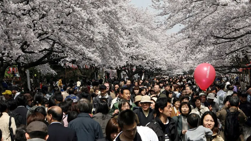 Japonya’da yabancılar için yeni dönem! Daimi oturum ücreti 20 kat zamlandı haberinin görseli