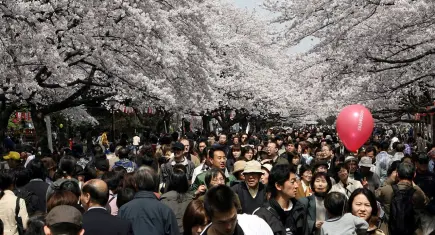 Japonya’da yabancılar için yeni dönem! Daimi oturum ücreti 20 kat zamlandı