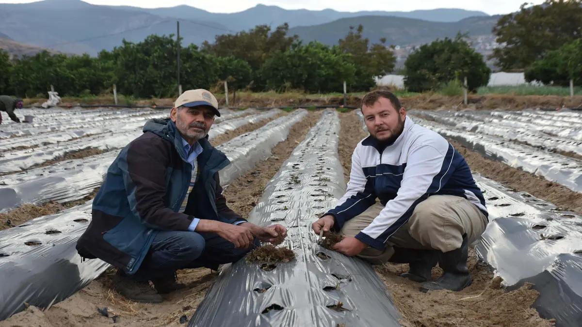 Kurumsal hayatı bıraktı, babasının izinden ata toprağına döndü görseli