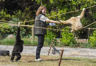 Yeni yuvalarında da birbirlerinden ayrılmadılar