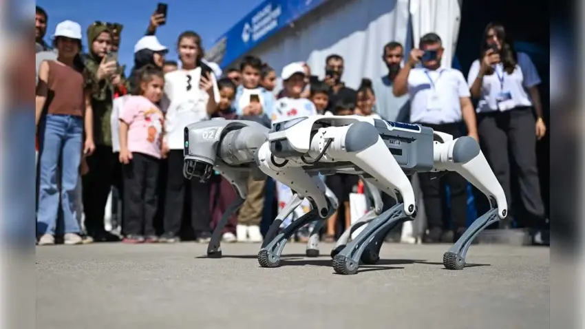 TEKNOFEST’te robotlardan renkli gösteri: Birlikte dans edip oyun oynadılar haberinin görseli