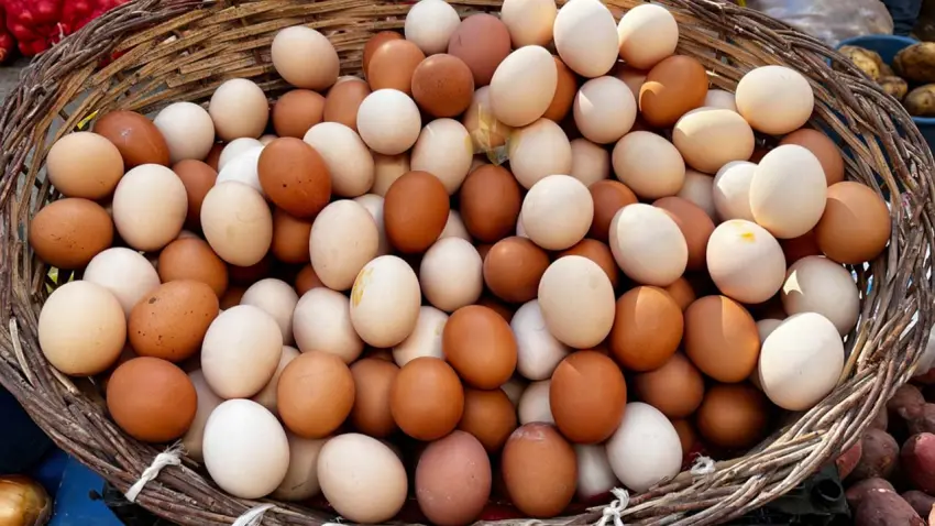 Kahverengi yumurta daha mı sağlıklı? Gerçek, sandığınız gibi olmayabilir haberinin görseli