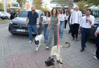 Karşıyaka’da 4 Ekim’e özel etkinlik: Can dostlar yeni yuvalarına kavuştu