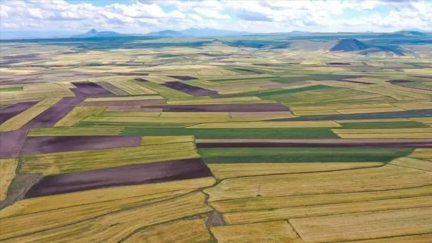 Resmî Gazete'de yayımlandı: İzmir'in o ilçesinde arazi toplulaştırması kararı! haberinin görseli