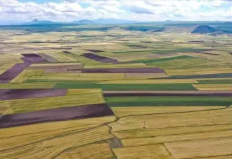 Resmî Gazete'de yayımlandı: İzmir'in o ilçesinde arazi toplulaştırması kararı!