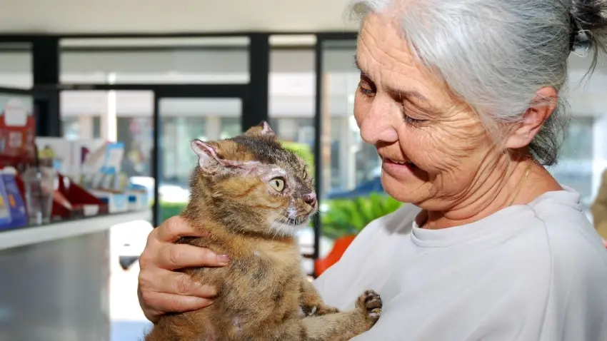 kedi ve sahibi