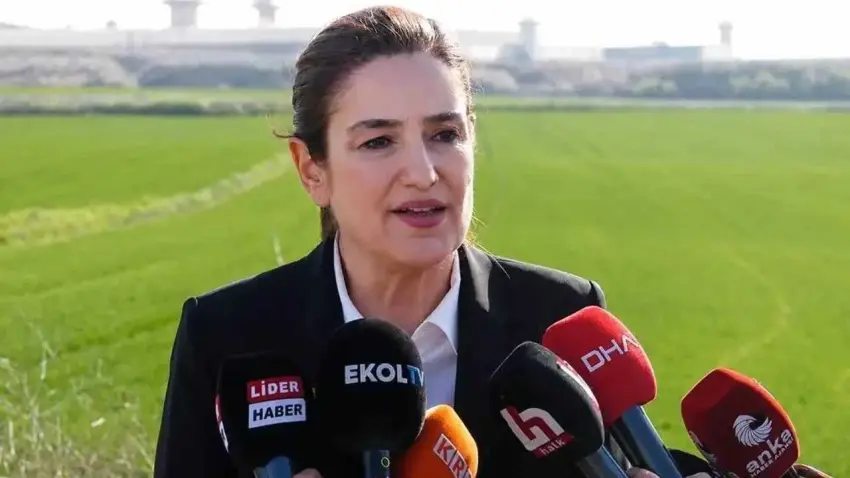 AHBAP soruşturmasında tutuklanmıştı:Ece Güner tahliye edildi haberinin görseli