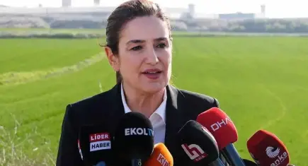 AHBAP soruşturmasında tutuklanmıştı:Ece Güner tahliye edildi