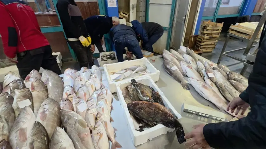 Buca Balık Hali’nde denetim: 45 kilo su ürününe el konuldu haberinin görseli