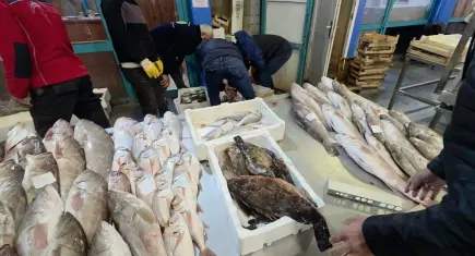 Buca Balık Hali’nde denetim: 45 kilo su ürününe el konuldu