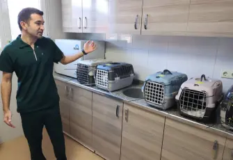 Buca Belediyesi’nden sahipli hayvan iddialarına yanıt: Kesinlikle işlem yapılmıyor