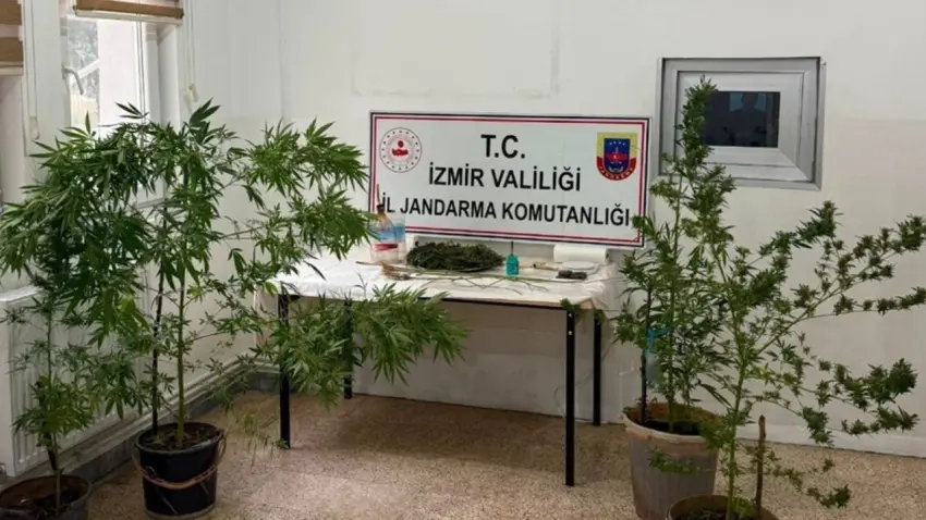 Kemalpaşa’da evinde kenevir ve kubar esrar ele geçirilen şüpheli yakalandı haberinin görseli