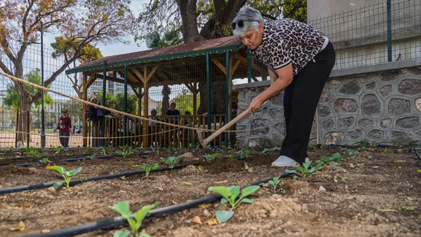 Hafızasını kaybetti, mahalle bostanında yeniden umut buldu haberinin görseli