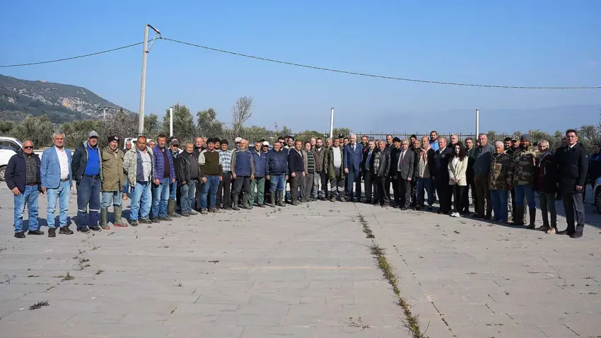 Kemalpaşa’da zeytin üreticisine kasa desteği: Son başvuru 16 Ekim haberinin görseli
