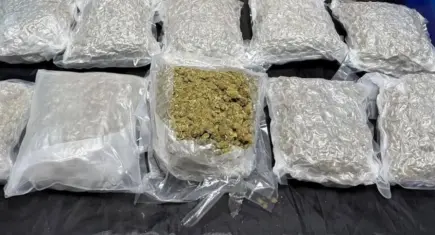 narkotik operasyonu: 4 gözaltı
