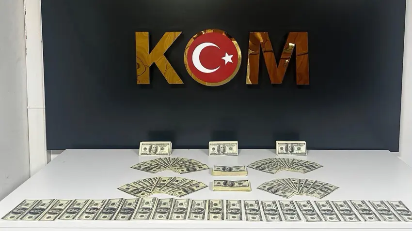 Bodrum’da sahte dolar operasyonu: 1 şüpheli tutuklandı