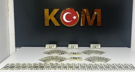 Bodrum’da sahte dolar operasyonu: 1 şüpheli tutuklandı