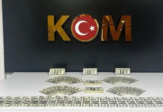 Bodrum’da sahte dolar operasyonu: 1 şüpheli tutuklandı